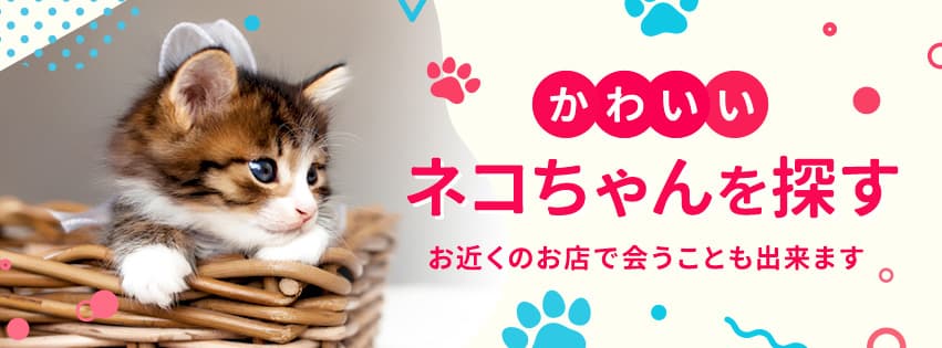 猫のケージに布カバーをかける目的とは？効果や注意点について解説 | ペットショップ 犬の家&猫の里 | 子犬だけでなく子猫の情報もたくさん